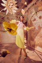 Load image into Gallery viewer, Ombre Shift Dress