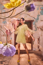 Load image into Gallery viewer, Fringe Dress