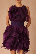 Load image into Gallery viewer, Rosette Ruffle Dress With Belt