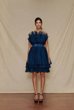 Load image into Gallery viewer, Pleated Cabbage Dress