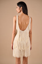 Load image into Gallery viewer, Pearl Fringe Dress

