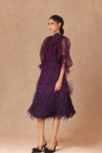 Load image into Gallery viewer, Feather Skirt and Organza Top With Slip
