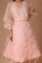 Load image into Gallery viewer, Feather Skirt and Organza Top With Slip

