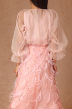 Load image into Gallery viewer, Feather Skirt and Organza Top With Slip

