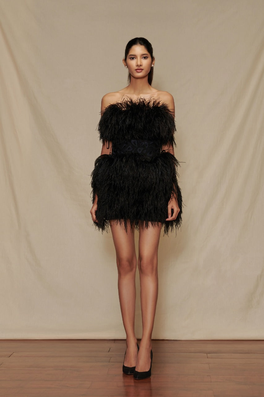 Ostrich Feather Dress