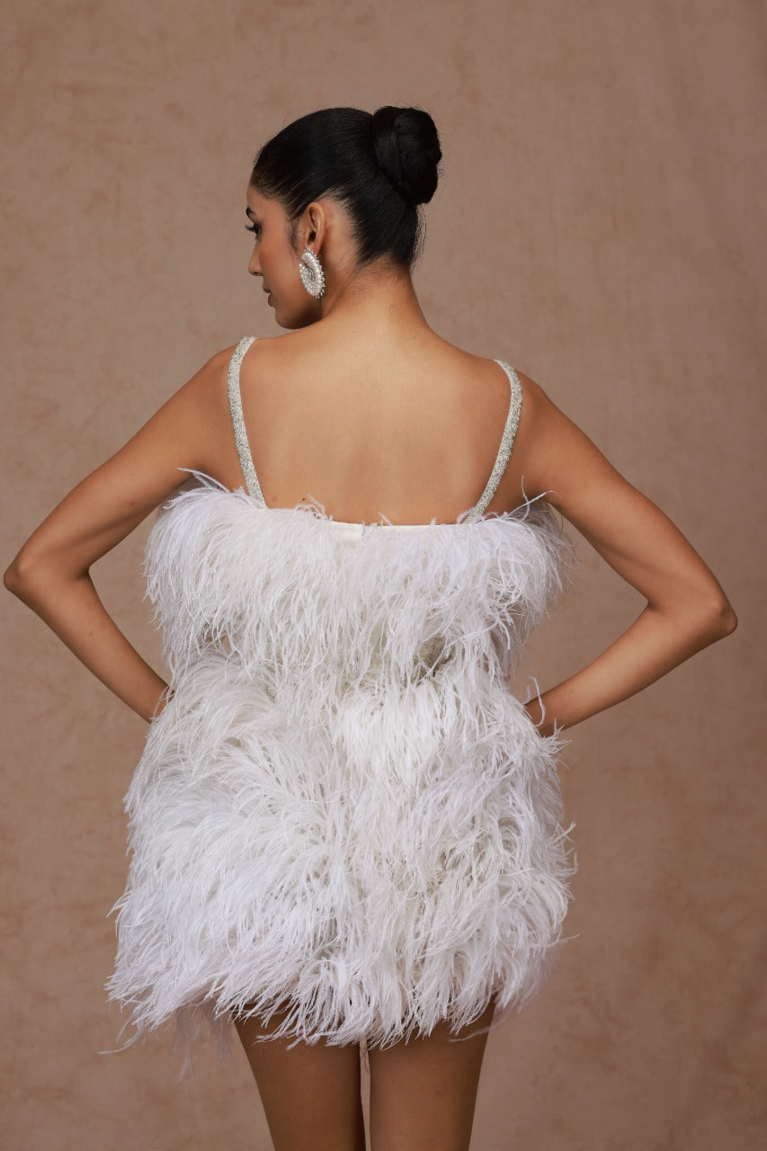 Feather Mini Dress  Shriya Som