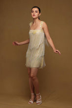 Load image into Gallery viewer, Fringe Dress
